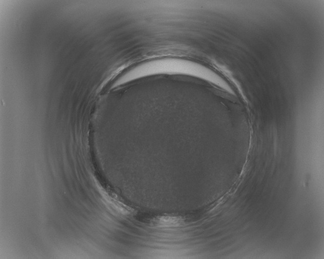 X0000078290154200611172131