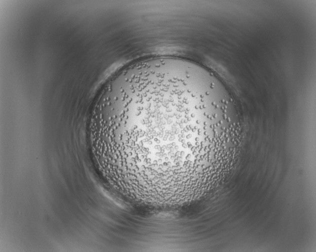 X0000078290155200611172131