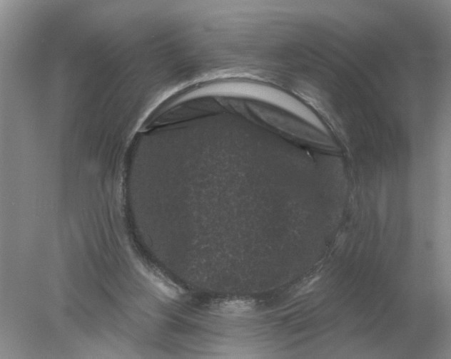 X0000078290156200611172131