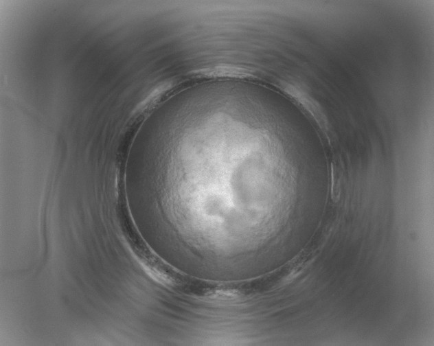 X0000078290157200611172131