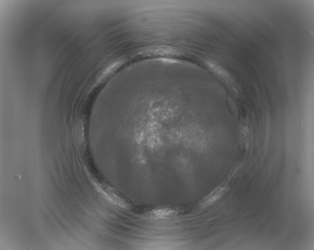 X0000078290158200611172131