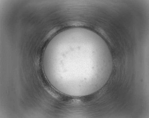 X0000078290159200611172131