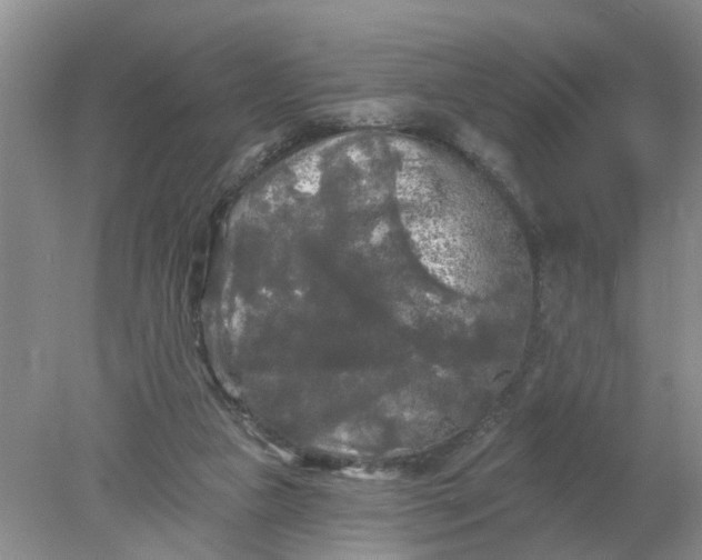 X0000078290161200611172131