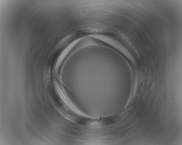 X0000078290163200611172131