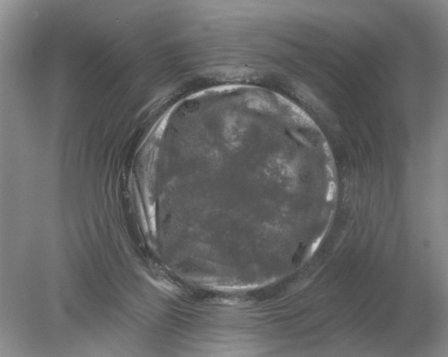 X0000078290165200611172131