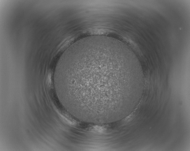 X0000078290166200611172131