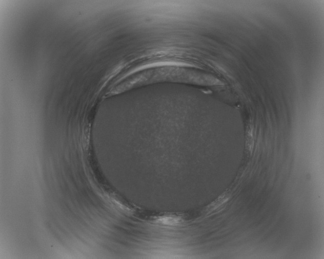 X0000078290168200611172131