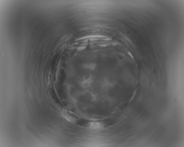 X0000078290169200611172131