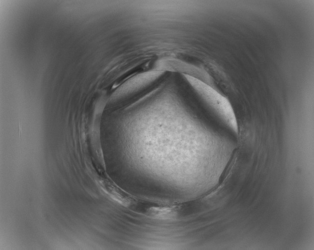 X0000078290170200611172132