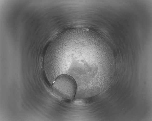 X0000078290171200611172132