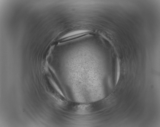 X0000078290172200611172132