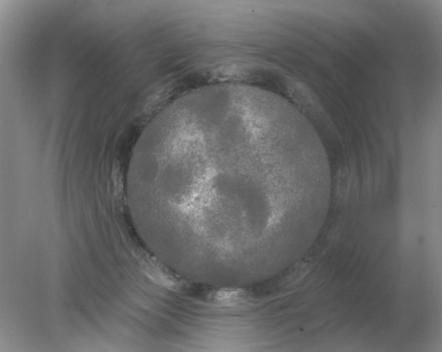 X0000078290173200611172132