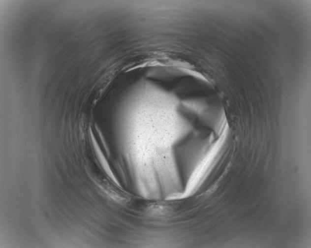 X0000078290174200611172132