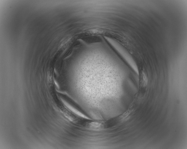 X0000078290176200611172132