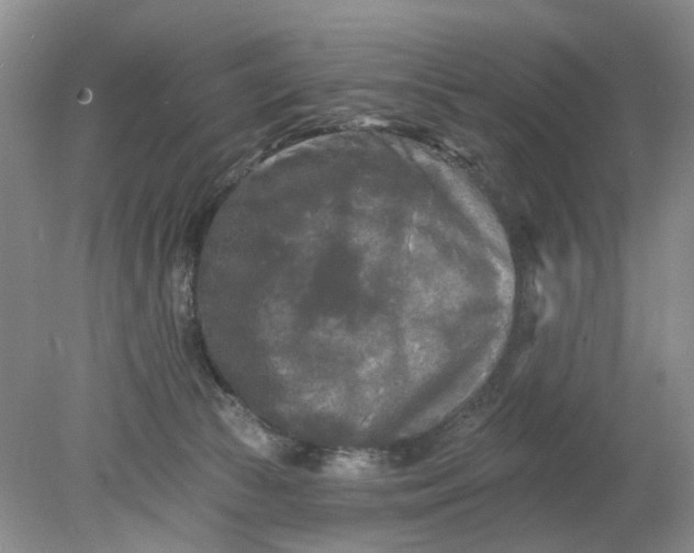 X0000078290177200611172132