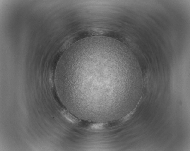 X0000078290178200611172132