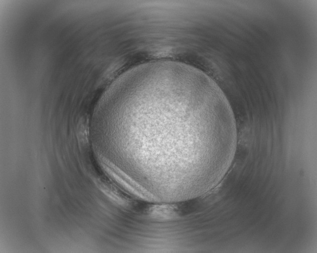 X0000078290179200611172132