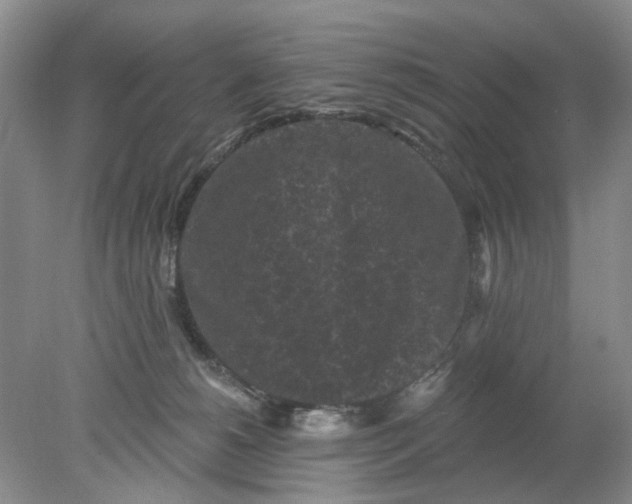 X0000078290180200611172132