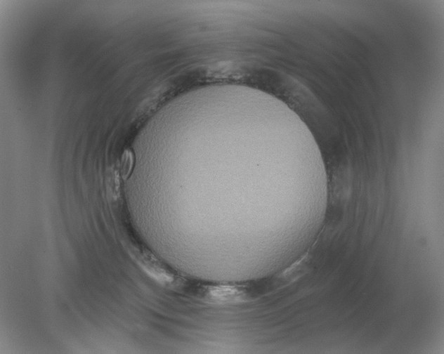 X0000078290183200611172132