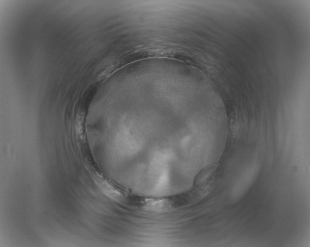 X0000078290185200611172132