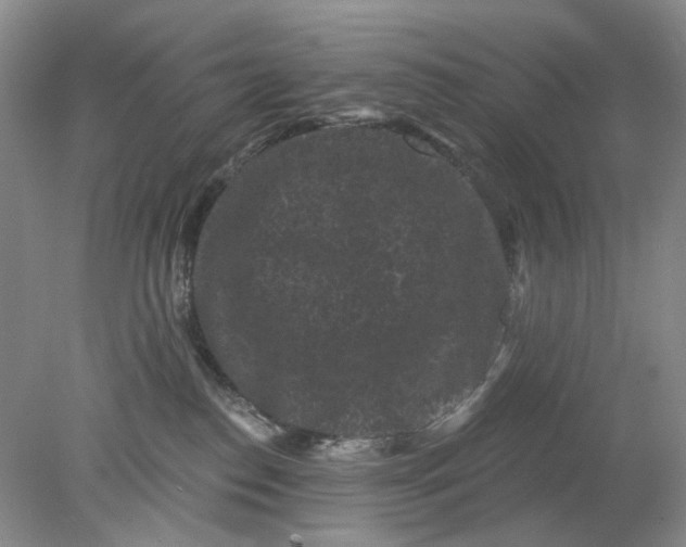 X0000078290186200611172132