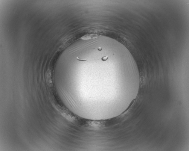 X0000078290187200611172132