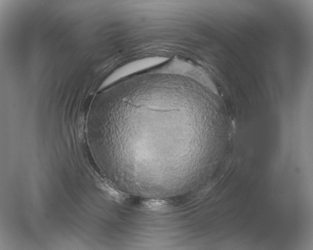 X0000078290189200611172132