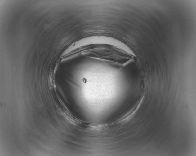 X0000078290190200611172132