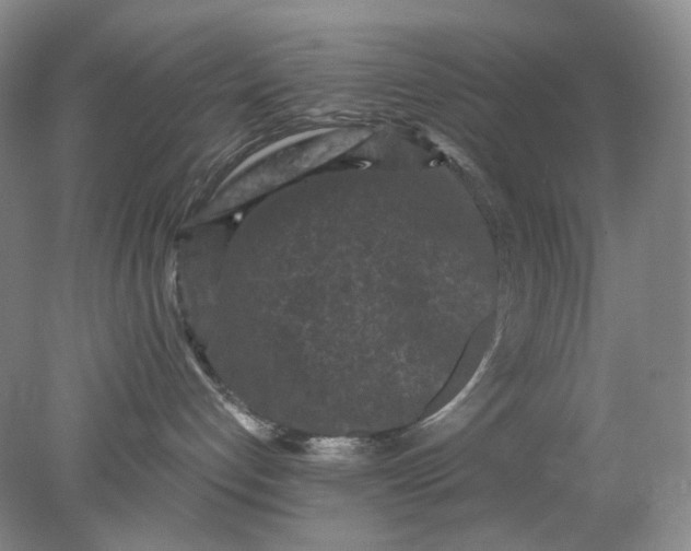 X0000078290192200611172132