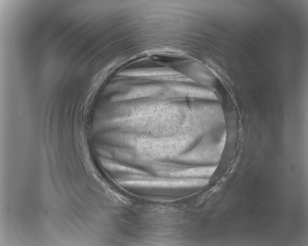 X0000078290193200611172131