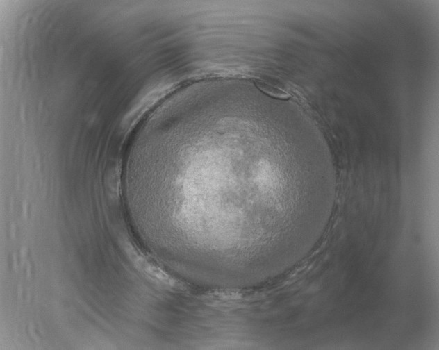 X0000078290194200611172131