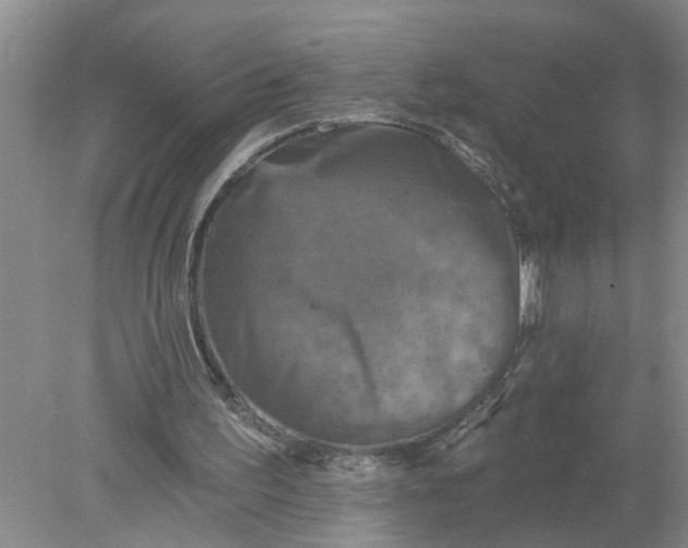 X0000078290195200611172131