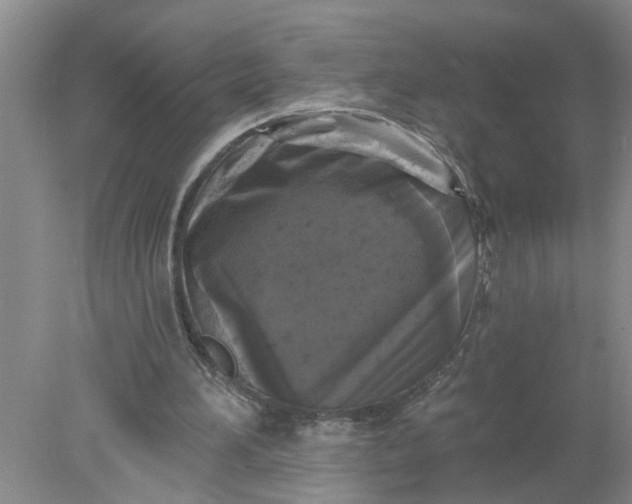 X0000078290196200611172131