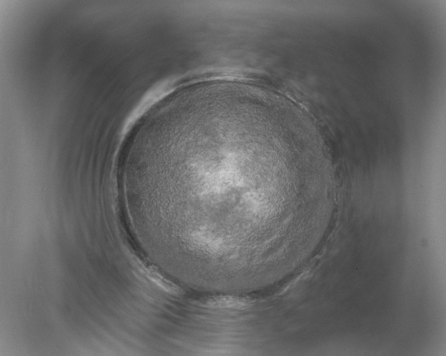 X0000078290198200611172131