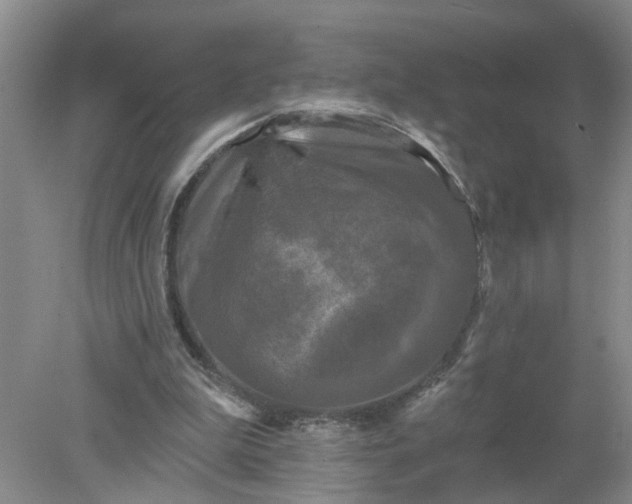 X0000078290199200611172131