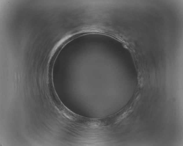 X0000078290200200611172131