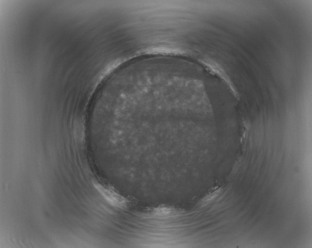 X0000078290204200611172131