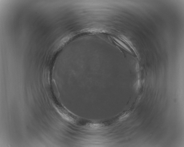 X0000078290205200611172131