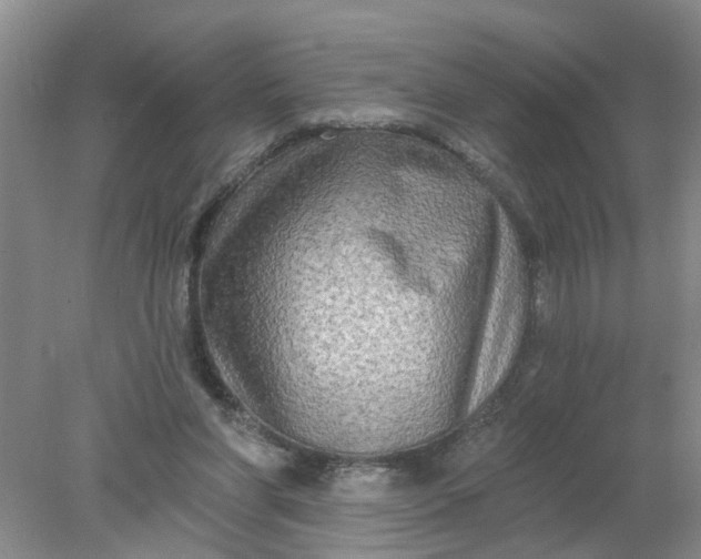 X0000078290206200611172131