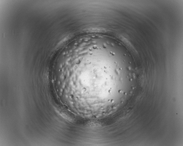 X0000078290207200611172131