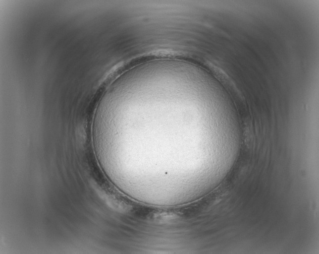 X0000078290208200611172131