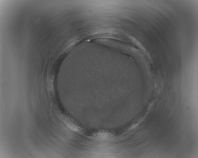 X0000078290209200611172131