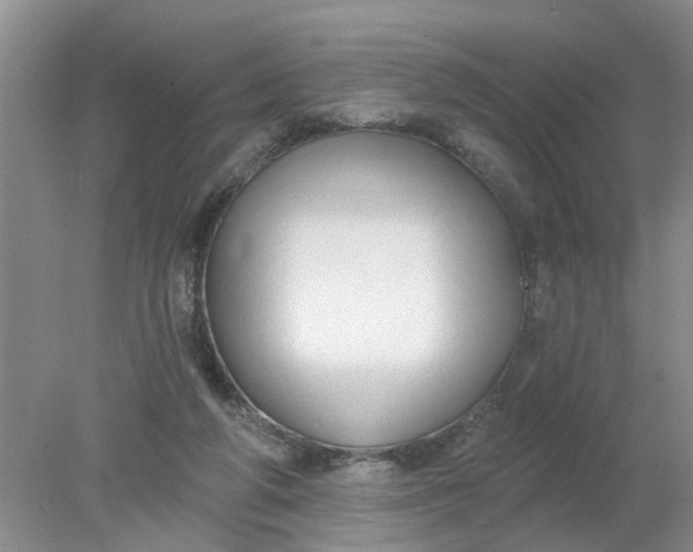 X0000078290210200611172131