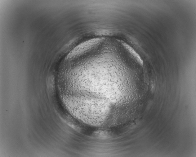 X0000078290211200611172131