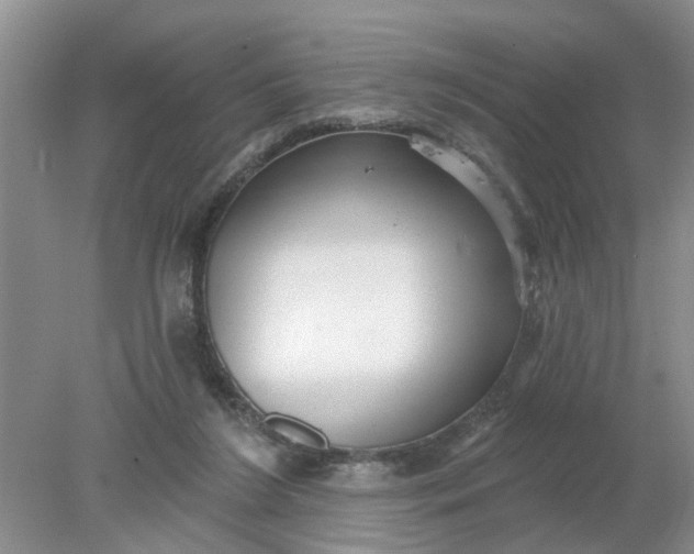 X0000078290212200611172131