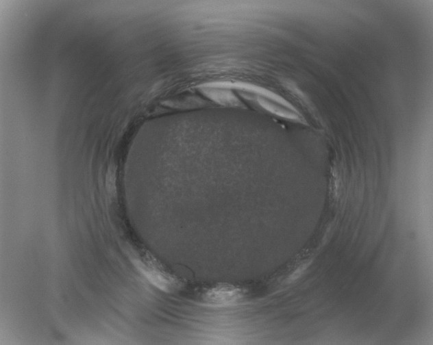 X0000078290213200611172131