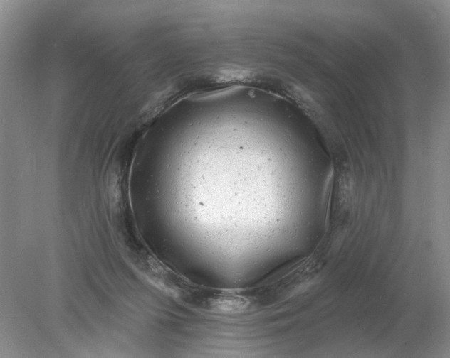 X0000078290215200611172131