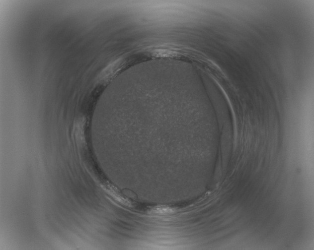 X0000078290217200611172131