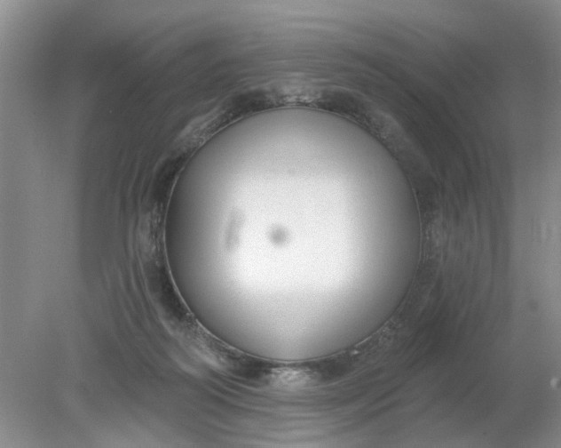 X0000078290218200611172131