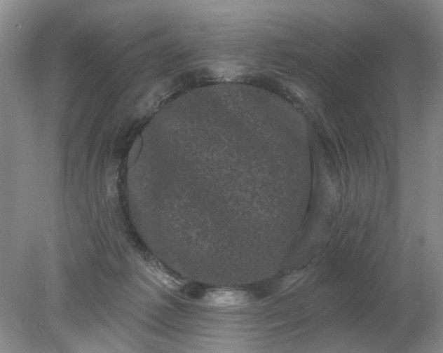 X0000078290221200611172131